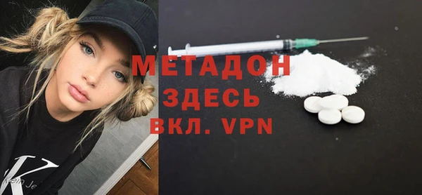 прущие грибы Новодвинск