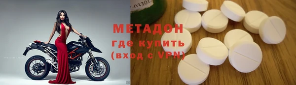 прущие грибы Новодвинск