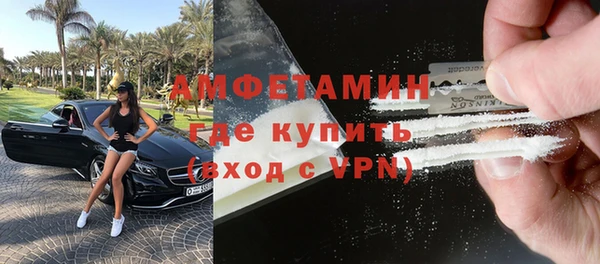 прущие грибы Новодвинск