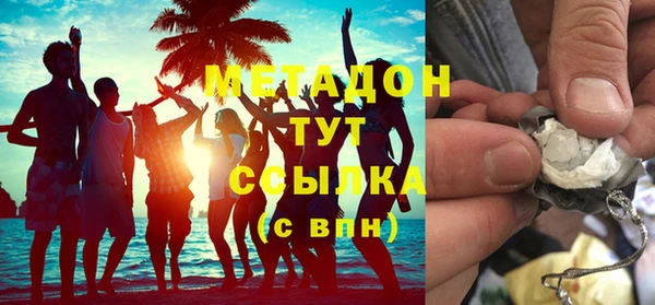 прущие грибы Новодвинск