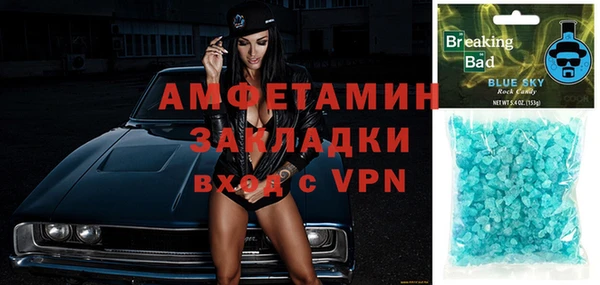 прущие грибы Новодвинск