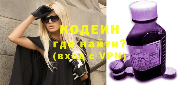 прущие грибы Новодвинск