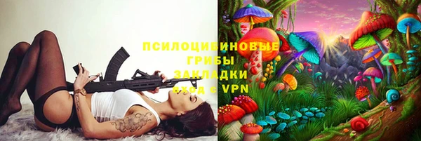 ешки Новокубанск