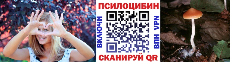 цены Нижняя Салда Галлюциногенные грибы Psilocybine cubensis